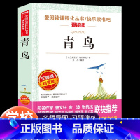 青鸟 [正版]青鸟书籍四年级课外书必读国际大奖儿童文学系列小说6-10-12岁童话故事书小学生三五六年级经典名著老师4年