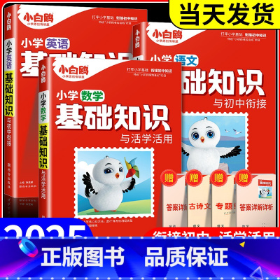 数学[通用版] 小学升初中 [正版]万唯小学基础知识与初中衔接大全手册语文数学英语小升初总复习资料四五六年级小学升初中人