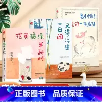橙黄橘绿+又得浮生一日+别怕.允许一切发生[3册] [正版]全3册 橙黄橘绿半甜时 别怕请允许一切发生 又得浮生一日闲
