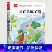 一园青菜成了精 [正版]小巴掌童话一年级注音版张秋生小学生二年级课外书必读经典书目低年级课外阅读书籍童话故事书儿童读物寒