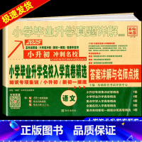 语文 小学升初中 [正版]冲刺2025语文数学英语小升初小学毕业升学名校入学真卷精选全国版小学毕业升学真题详解五六年级初