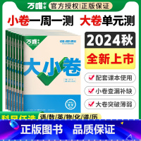 人教版[历史] 九年级 [正版]2025九年级全一册大小卷数学语文英语物理化学道法历史人教北师沪科粤版初三上下学期同步练
