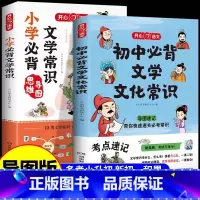 [套装2册]小学+初中文学常识 初中通用 [正版]2024版初中必背文学文化常识积累大全导图版高中初中生中国古代历史现代