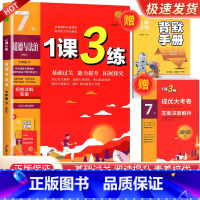 7年级下册道德与法治人教版 初中通用 [正版]实验班 1课3练单元达标测试七年级八九年级上册下册数学科学浙教版语文英语人