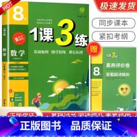 8年级下册数学人教版 初中通用 [正版]实验班 1课3练单元达标测试七年级八九年级上册下册数学科学浙教版语文英语人教版初