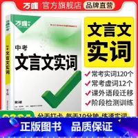 热卖❤真题作文[语文] 初中通用 [正版]初中文言文实词虚词专项训练阅读理解全解七八九年级初一初二初三资料书2024万维