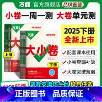 华师版[数学] 八年级上 [正版]2025新版万唯大小卷初中八年级语文数学英语物理道法历史生物地理上下册单元同步试卷训练