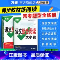 语文组合阅读大小卷 九年级 [正版]新书2025万唯初中语文组合阅读大小卷初一初二初三789年级阅读理解专项组合训练测试