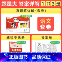 语文❤小升初真题[套卷]1本 [正版]2025万唯小白鸥小升初真题卷数学语文英语毕业分班考试卷重点中学2024招生真题试