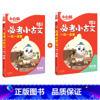 必考小古文(基础篇+提升篇) 小学通用 [正版]2025万唯小白鸥小学必考小古文漫画三四五六3456年级上下册人教版语文