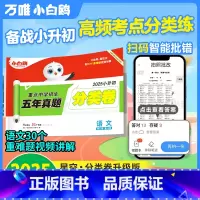 语文⭐小升初真题[分类卷]1本. 小学升初中 [正版]2025新版万唯星空小升初分类卷语文小学专项训练分班考试卷小升初总