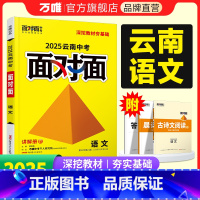 语文 云南省 [正版]2025云南语文面对面初三总复习全套资料七八九年级初三语文模拟题训练历年中真题卷辅导书资料万维教育