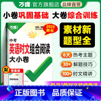 2本套装[阅读大小卷+词汇] 九年级 [正版]2025新版万唯英语时文阅读九年级中考阅读大小卷初中英语完形填空与阅读理解