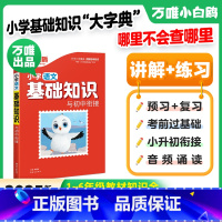 小学[语文]基础知识与初中衔接 小学通用 [正版]万唯小学基础知识大全手册语文小升初总复习强化训练一二三四五六年级小白鸽