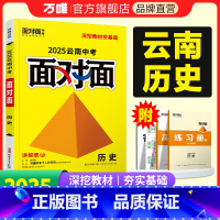 历史 云南省 [正版]2025云南历史面对面初三总复习全套资料七八九年级初三历史模拟题训练历年中真题卷辅导书资料万维教育