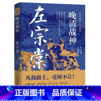 左宗棠 [正版]读史衡世系列名将篇全套10册精忠报国岳飞传韩信卫青白起李靖戚继光徐达中国中华古代历史人物小说名人传记书籍