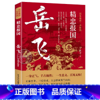 岳飞 [正版]读史衡世系列名将篇全套10册精忠报国岳飞传韩信卫青白起李靖戚继光徐达中国中华古代历史人物小说名人传记书籍生