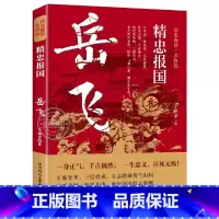 岳飞 [正版]读史衡世系列名将篇全套10册精忠报国岳飞传韩信卫青白起李靖戚继光徐达中国中华古代历史人物小说名人传记书籍生