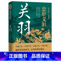 关羽 [正版]读史衡世系列名将篇全套10册精忠报国岳飞传韩信卫青白起李靖戚继光徐达中国中华古代历史人物小说名人传记书籍生