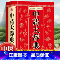 800种中草药彩色图鉴 [正版]中药大辞典 精装版全套 原版 中药学书籍词典 辞典中药书中药材中药字典中医药大词典药学医