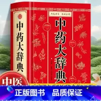 中药大辞典 [正版]中药大辞典 精装版全套 原版 中药学书籍词典 辞典中药书中药材中药字典中医药大词典药学医学工具书药膳