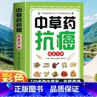 中草药抗癌速查手册 [正版]中草药抗癌速查手册 抗癌中草药彩图大全书籍 癌症秘方验方偏方大全土单方书 防癌抗癌食谱中草药