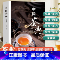 [正版]中国茶典 从喝茶到懂茶 茶具 茶艺 茶道 保健茶 药茶 茶方 茶经 买茶 泡茶中国茶文化茶配方泡饮大全入门普洱茶