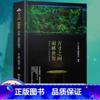 [正版]方寸之间 雨林世界 我的第一本雨林缸造景书 生态缸造景详解和介绍 雨林缸造景制作指南书籍 黑龙江科技