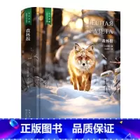 森林报 [正版]精装珍藏版世界文学名著名译典藏中小学生课外阅读书籍外国文学名家翻译爱的教育爱丽丝梦游奇境变形记茶花女沉思