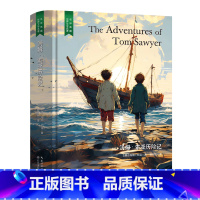 汤姆·索亚历险记 [正版]精装珍藏版世界文学名著名译典藏中小学生课外阅读书籍外国文学名家翻译爱的教育爱丽丝梦游奇境变形记
