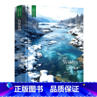 瓦尔登湖 [正版]精装珍藏版世界文学名著名译典藏中小学生课外阅读书籍外国文学名家翻译爱的教育爱丽丝梦游奇境变形记茶花女沉