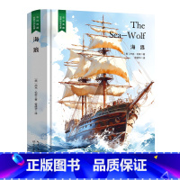 海狼 [正版]精装珍藏版世界文学名著名译典藏中小学生课外阅读书籍外国文学名家翻译爱的教育爱丽丝梦游奇境变形记茶花女沉思录