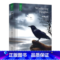 呼啸山庄 [正版]精装珍藏版世界文学名著名译典藏中小学生课外阅读书籍外国文学名家翻译爱的教育爱丽丝梦游奇境变形记茶花女沉