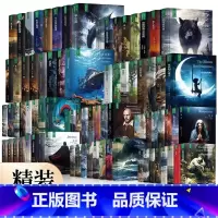 三个火枪手 [正版]精装珍藏版世界文学名著名译典藏中小学生课外阅读书籍外国文学名家翻译爱的教育爱丽丝梦游奇境变形记茶花女