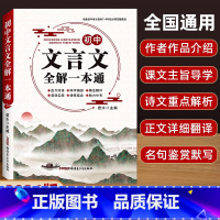 初中文言文全解一本通 [正版]2024版初中名著导读考点精练阅读名著导读与考点同步解读一本通中考名著考点精练七八九年级阅