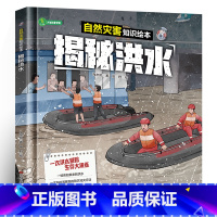 自然灾害知识绘本-揭秘洪水 [正版]全套3册 揭秘洪水+地震+台风 写给孩子的自救安全绘本 宝宝书籍3-6-8-12周岁