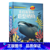 奇幻海洋的巨型动物 [正版]国家地理动物百科全书全套4册非洲大草原神秘丛林奇幻海洋冰雪世界8-12岁三四五六年级少儿科普