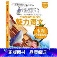 疯狂的语文课多彩的文学之旅 [正版]疯狂的物理课写给孩子的奇妙物理化学生物地理语文数学历史魅力语文妙趣无穷的实验组成万物
