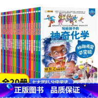 疯狂系列全20册 [正版]疯狂的物理课写给孩子的奇妙物理化学生物地理语文数学历史魅力语文妙趣无穷的实验组成万物的元素奇妙
