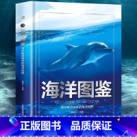 [单本]海洋图鉴 [正版]恐龙图鉴带你走进神奇的恐龙世界精装硬壳儿童百科全书图鉴幼儿读物科学绘本故事6-12岁小学生科普