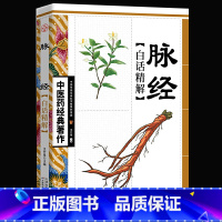 [正版]中医药经典著作一脉经白话精解 中华经络奇书 经络穴位治病根基 中医参考书籍古典奇书传承中医精要