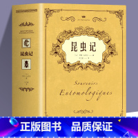 昆虫记 [正版]法布尔昆虫记配彩插图原著完整 三四年级小学生课外阅读小说 世界经典文学名著初中生七八九年级上下册青少年外