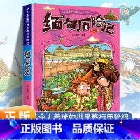 缅甸历险记 [正版]令人着迷的世界旅行历险记全套11册世界儿童文学大奖小学生课外阅读书籍三四五六年级世界地理百科大全漫画
