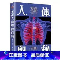 全景人体奥秘百科 [正版] 全景人体奥秘百科 人体百科全书揭秘人体密码人体知识一座人体奥秘博物馆认识世界从认识自己开始科