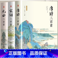 宋词三百首+元曲三百首+唐诗三百首 [正版] 苏东坡传 八年级课外阅读书目 苏轼自传诗词读本名人传记 初中生苏东坡新传历