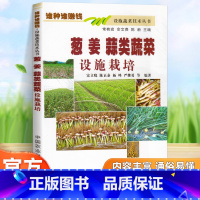 葱 姜 蒜类蔬菜设施栽培 [正版]葱 姜 蒜类蔬菜设施栽培 宋立晓 等 水果蔬菜等种植栽培技术入门 农业知识 专业科技