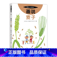6 画说麦子 [正版]我的小小农场画说蔬菜水果樊登1-20册农耕文明科普绘本画说茄子番茄玉米大豆猕猴桃羊牛猪鸭鸡苹果菠菜