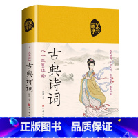 [正版]人一生要读的古典诗词国学全彩诗经楚辞唐诗宋词元曲鉴赏词典中国文学古典浪漫诗词鉴赏辞典高中初中小学生常用古典诗词歌