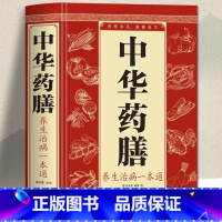 [正版]中华药膳养生治病一本通 中医百病食疗祖传秘方大全食谱大全 补气养血脾胃体质调理身体的书 养生药膳汤膳粥膳中药炖汤