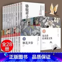 全28册 鲁迅经典全集 全10册+老舍经典全集 全10册+中国名家经典集 全8册 [正版]鲁迅全集原著10册 六七年级阅